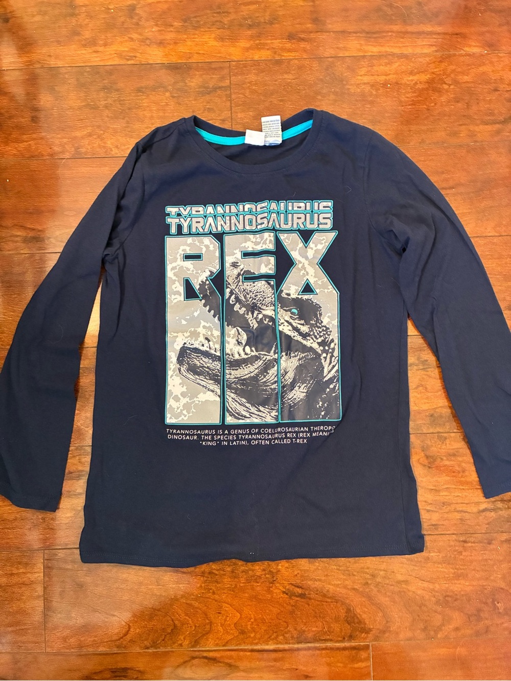 Boys Navy Long Sleeve 'REX' Tyrannosaurus Graphic Tee